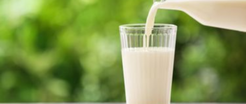 Is Milk a Healthy Drink for Children?