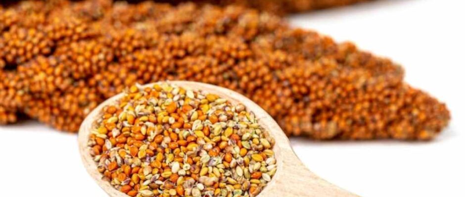 Sorghum Product